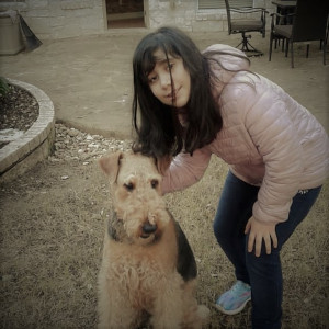 Pet 2